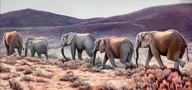 Elephants of Little Karoo