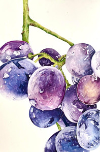 Grapes