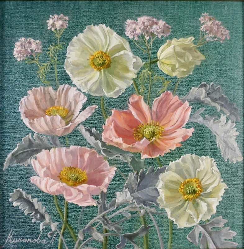 Pink and White Poppies