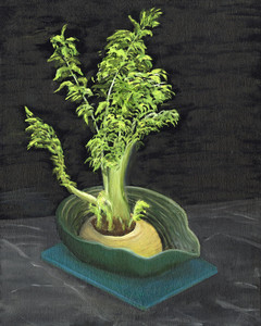 Rosa's Rutabaga