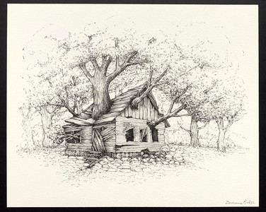 Home