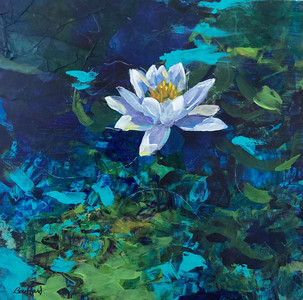 Seeking Serenity