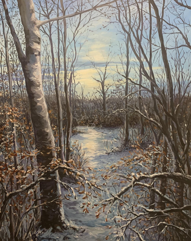 Winter's Twilight Glow