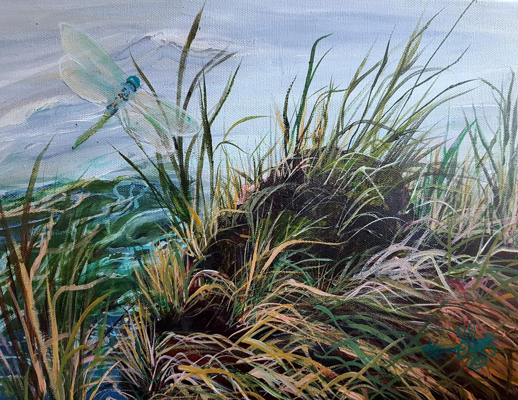 Dragonfly among the Grasses
