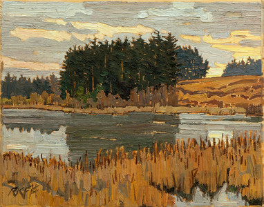 Wetlands Morning