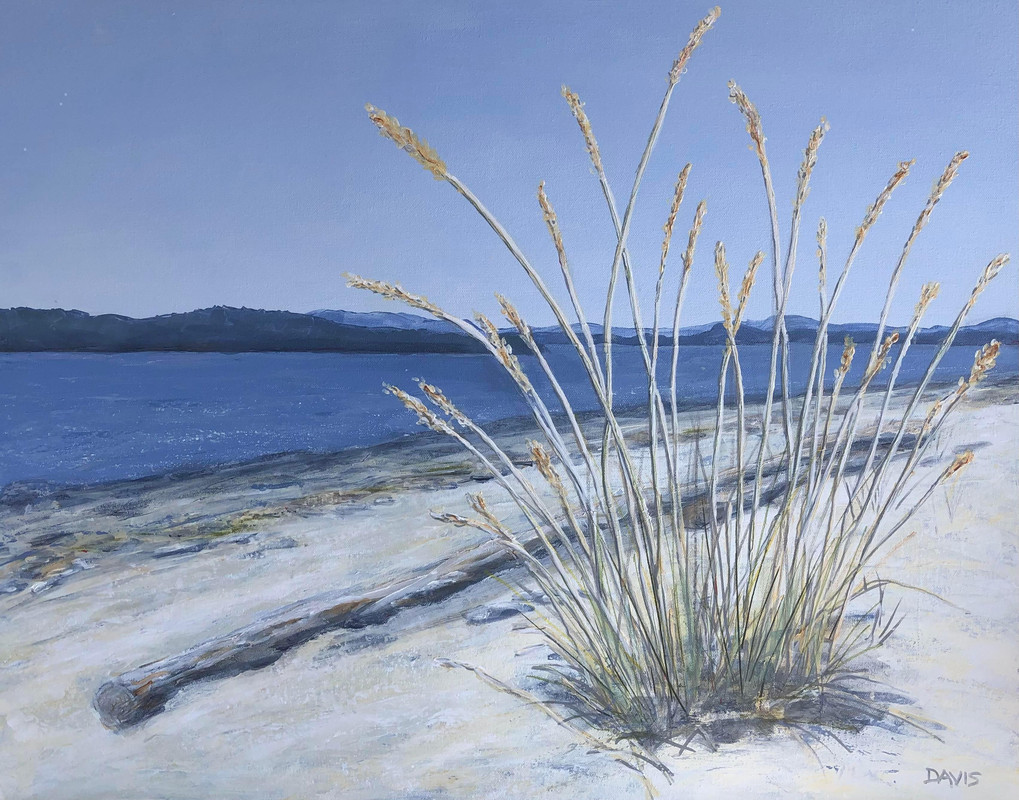 Beach Grass, Sidney Spit