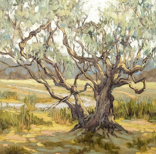 The Old Olive Tree