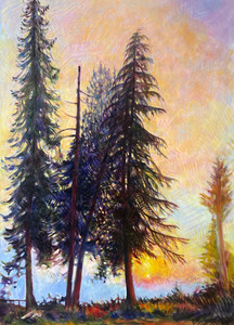 Grandfather Trees at Sunset