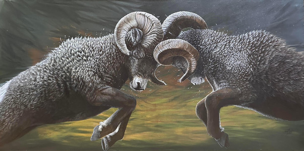 Big Horns