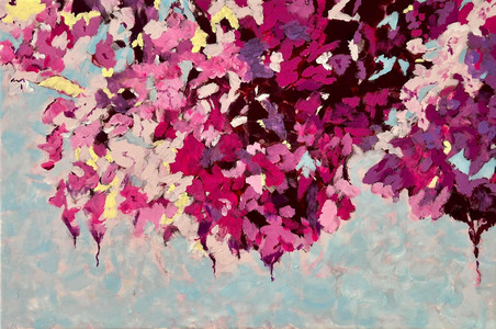 Cherry blossoms