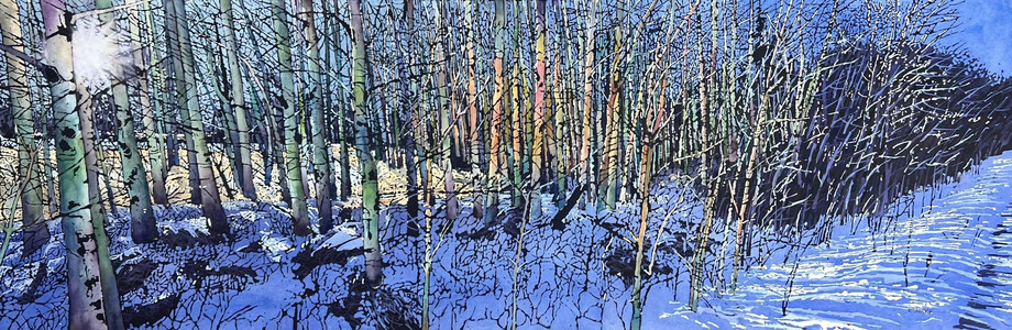Sunshine, aspens and a winter day