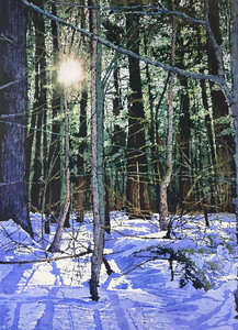 The Bright Beauty of Winter