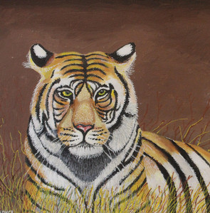 Tiger Tiger