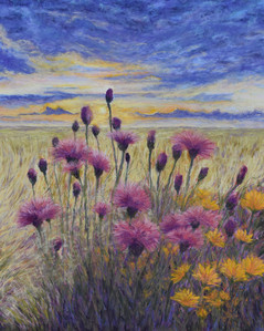 Wildflowers at Sunset