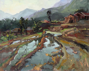 Rice paddies, Sa Pa