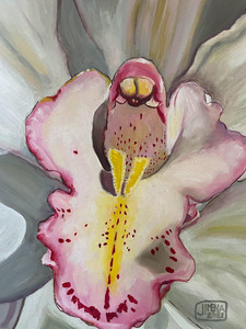 Orchid 1
