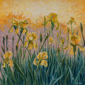 Good Morning Iris