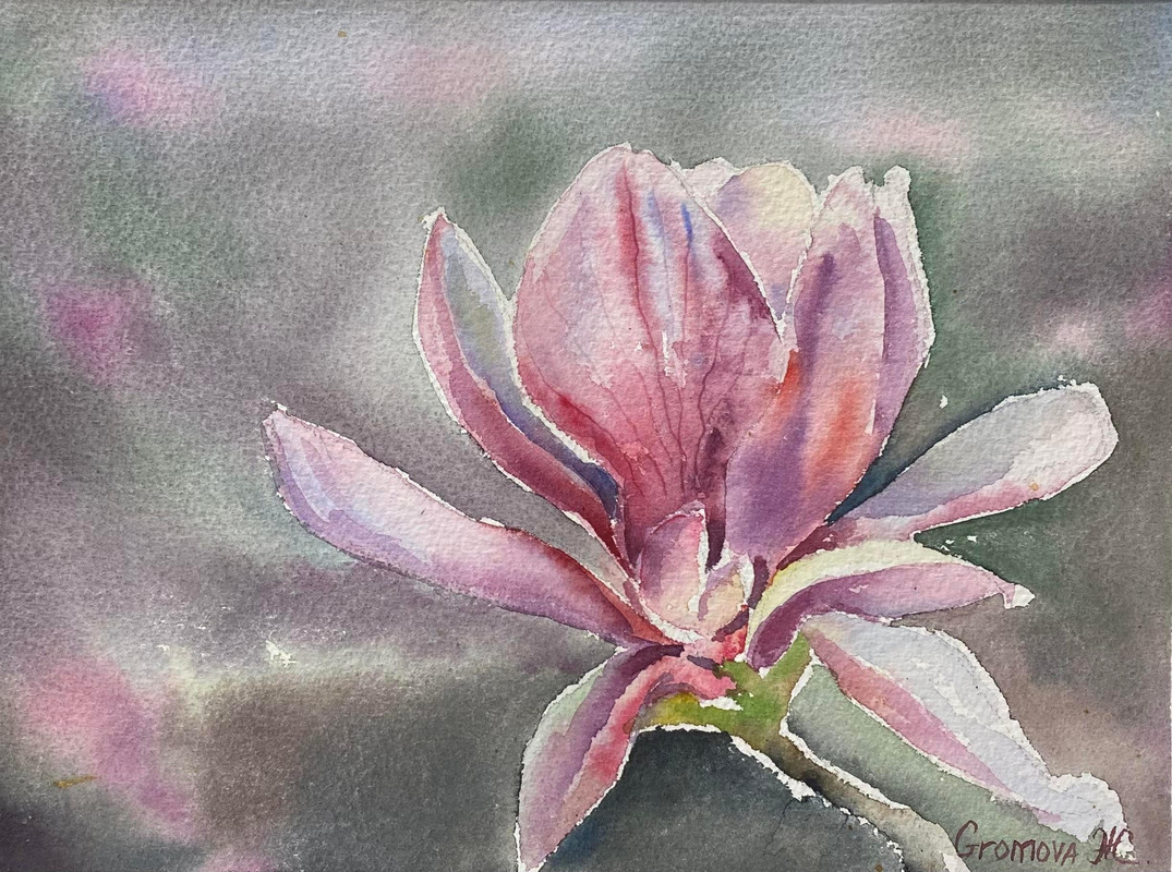 Magnolia