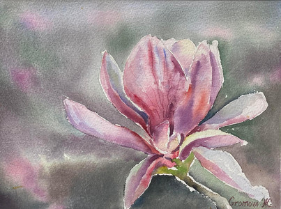 Magnolia