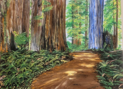 The Pathway