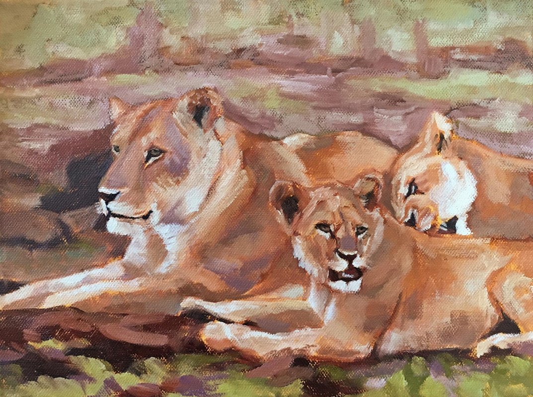 Lounging Lions Grooming