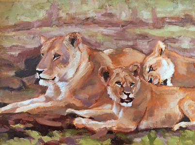 Lounging Lions Grooming