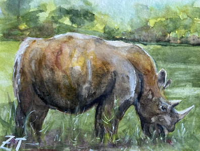 Uganda Rhino