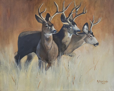 Three Kings