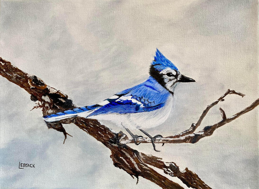 A Winter&rsquo;s Jay