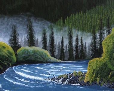 Skagit River Valley
