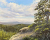 View #1