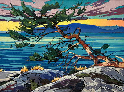 Twisted Tree in Lighthouse Park
