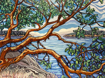 Hardy Island Viewpoint