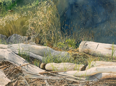 Driftwood, Pender Island