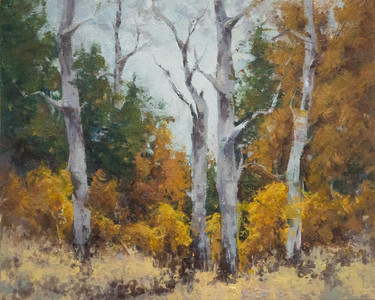 Autumn Aspens