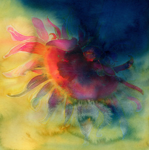 Eclipsed Bloom