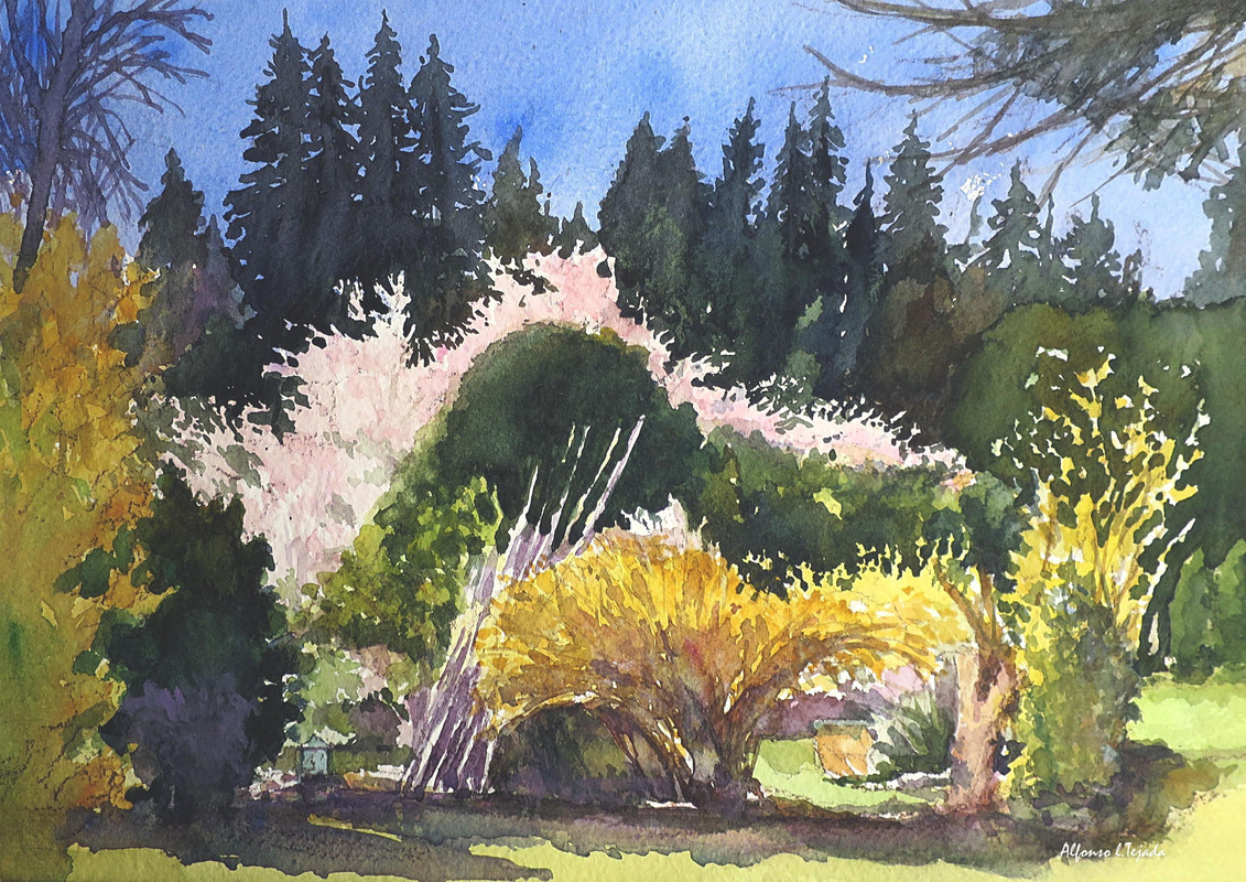 Bloom in the garden
