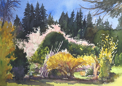 Bloom in the garden