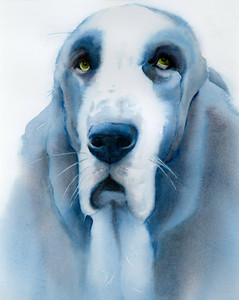 Night Howl