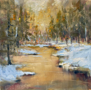 Spring Thaw at Canmore Creek