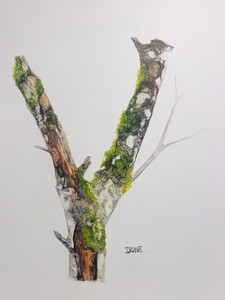A Tree with Life