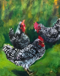 Three Chickens