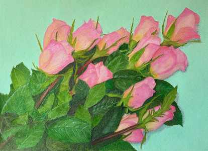 Valentine Roses