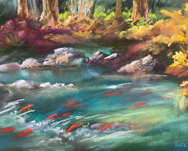 Spawning Kokanee in the Park