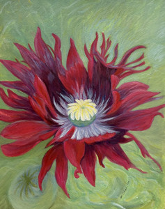 Flower Power