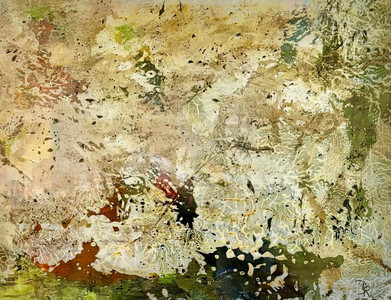 Lichen & Moss: the Understory