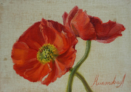 Red Poppies