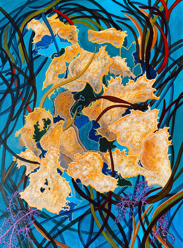 Corny Point Seaweed
