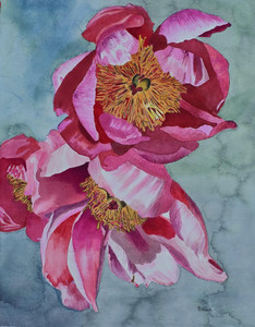 Peonies on 11th revisited