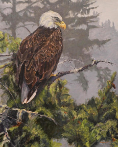Botany Bay vantage - Bald Eagle